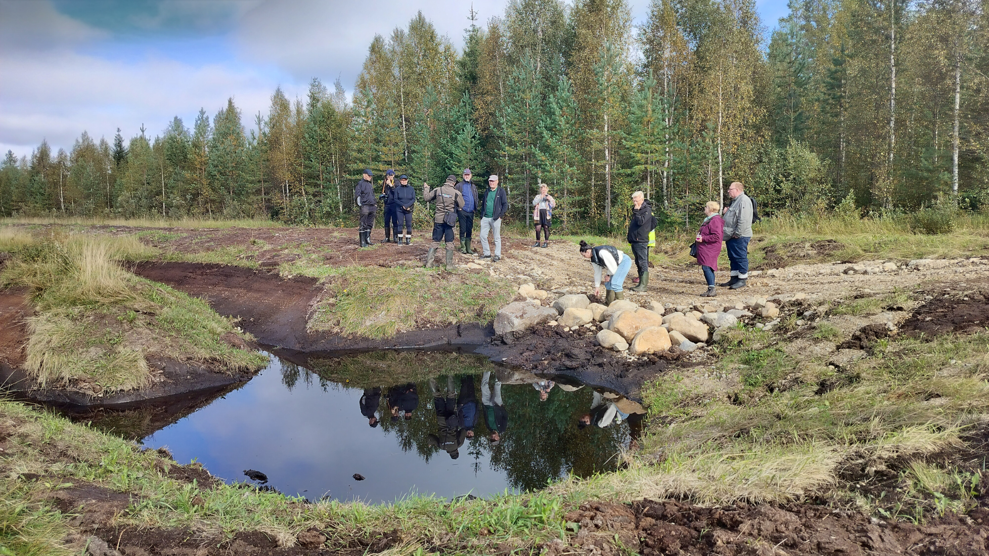 Utajärven kosteikko