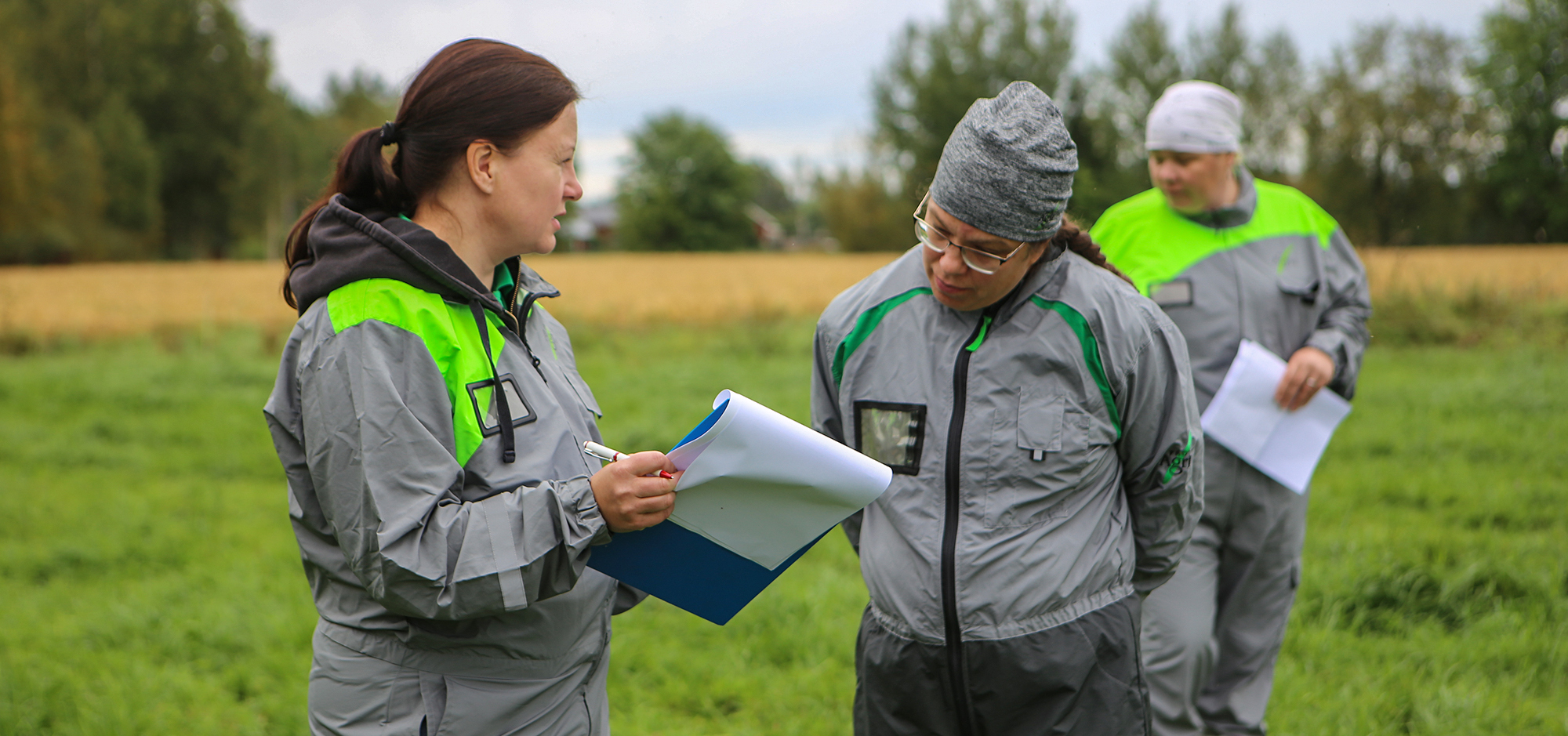 Maidontuotannon asiantuntijat Oulu