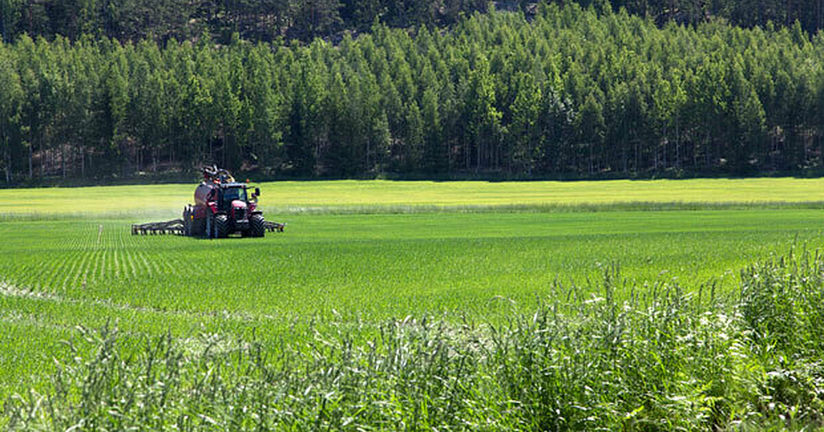 ProAgria | Lannoitelain Luonnoksessa Esitetty Fosforisääntely…